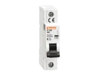 DISJONCTEUR MAGNETOTHERMIQUE UL1077 1P COURBE D 16A