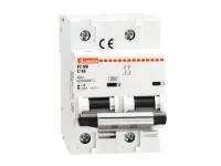 DISJONCTEUR MAGNETOTHERMIQUE UL1077 2P COURBE C 125A