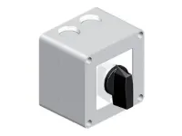 CAME INVERSEUR 3P 20A EN BOITIER